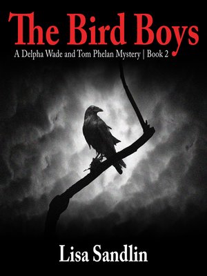 cover image of The Bird Boys